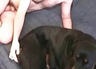 Dirty Whore Dog Gets Wild Sex Action in HD