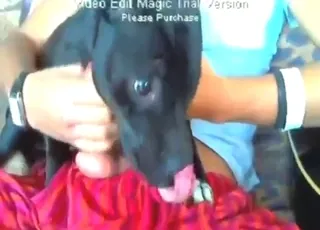 Uncensored Dog Blowjob and Cumshot - Real Zoo Sex HD Clip