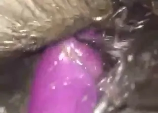 Sexy Shetland Stallion Reveals Pussy And Gets Rekt