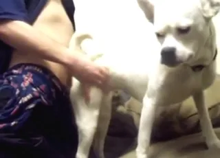 White Dog Gets Fucked by Zoophile in Zoo Sex Clip