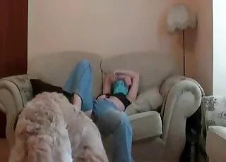 Cute Dog Sex On The Couch: Real Zoo Sex Scene With Pet animal sex HD
