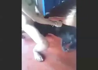 Thai Man Deepthroats Black Dog From Behind HD