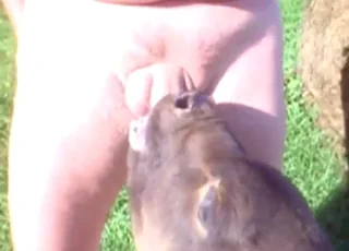 Calf Deepthroats Cock Outside in HD Zoo Sex Tube Clip