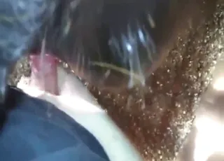 Lovely Mare Takes Hard Cock in Hardcore Zoo Sex Scene