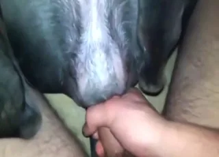 Cock-Gripping Sexy Bitch Happy to Get Off