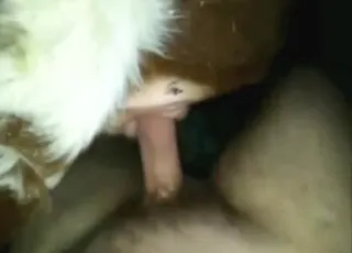 Cow gets his tool close up animal sex