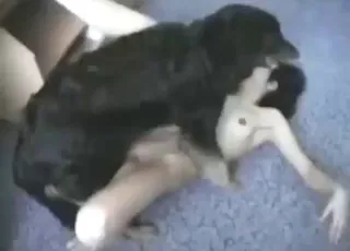 Hot Brunette Gets Ficked Hard on the Floor by a Dog