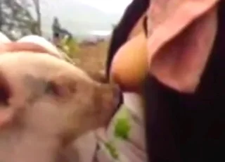 Lady Gets Pleasured By Two Cute Piglets animal sex Zoo Tube HD
