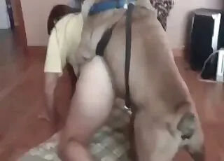 Hardcore animal sex, tight wet crack, animal sex porn, zoo tube hd clips, zoofilia sex with animals