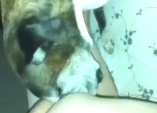 Sexy Beast Ready for a Great Lick in HD Clip