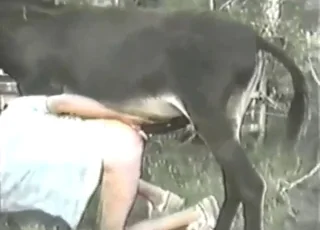 Crazy Donkey Sex in Zoo XXX Clip: Hot animal sex Porn with Animal Breeding HD