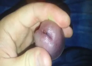Worms Inside Boner Zoophile Clip: animal sex Zoo Tube HD Clip