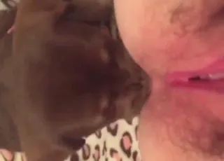 Puppy Licks Juicy Pussy and Gorgeous Ass in HD