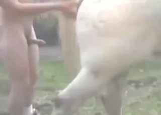 Horse Mare Covered With Cum In Hd Zoo Sex Clip
