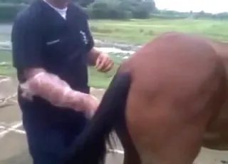 Guy Fists Hot Mare in Zoo Sex Tube Clip HD