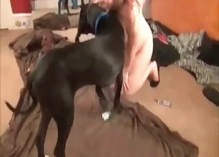 Little hound gets a warm blowjob from her owner