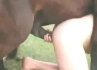 Horse sex: zoophile clip of a man getting blasted by a big stallion
