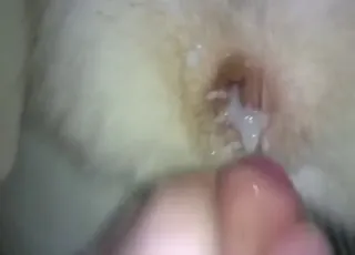 White Husky Gets Fingered and Covered in Cum