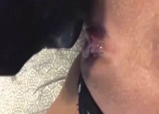 Shaved pussy licking close up hd clip zoo sex animal sex animal porn