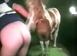Hardcore pony sex fuck on camera in hd - animal sex porn zoo tube
