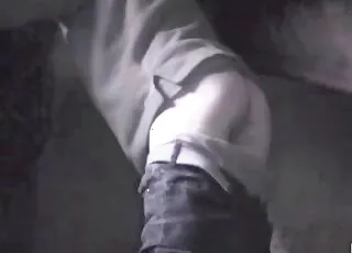 Huge Horse Cock Gets Fucked by a Guy in HD Zoo Sex Clip