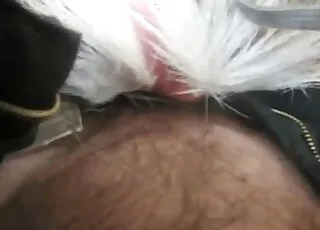 Big Dick Dude Happily Fucks Furry Animal in HD