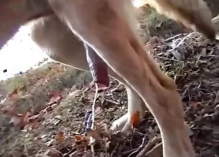 Spicy Doggy Style: Juicy Cum Eating on Camera - Zoo Sex HD Clip