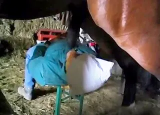 Muscled stallion pees on face during horse sex scene