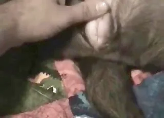 Sensual Doggy Style Intensive Sex Games With A Dog