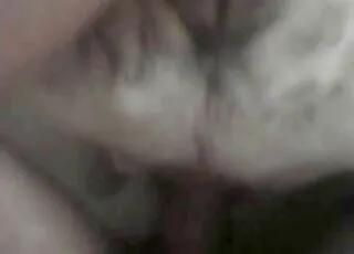 Hardcore White Animal Sex with Male Penis