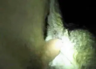 Small White Dog Anal Sex: Awesome Penetration In HD