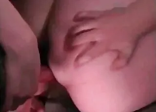 Amateur stray dog sex scene in HD: raw zoo tube clip with natural animal porn vibes