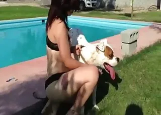 Outdoor Dog Sex Session in Nature HD Zoo Sex Tube animal sex Porn Clips