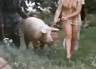 Pig Joins Awesome Zoo Sex Session: animal sex Porn HD Clip