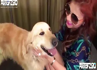 Adventurous Pet Copulates With Noteworthy Flapper