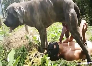 Hot Hooker Sucks Dog Dick in Outdoor Setting