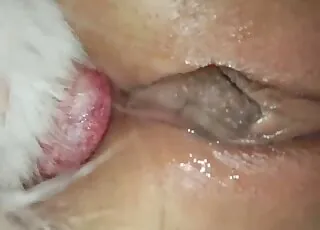 Close-up Anal Sex with a Gorgeous Zoophile Slut