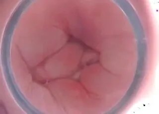 Exclusive Beastiality Clip Found on No Other Sites