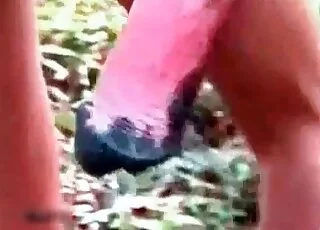 Awesome Horse Sex Scene With Cumshot - Real Zoo Sex HD Clip