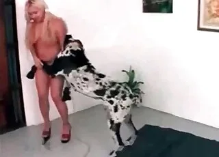 Hardcore Dog Sex Scene With Canine: Intense animal sex Action in HD